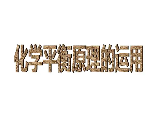 化学平衡原理的应用-ppt课件