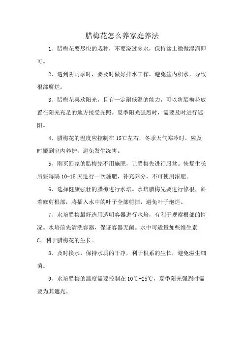 腊梅花怎么养家庭养法