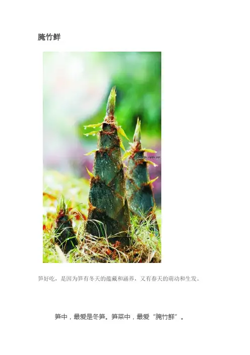 腌竹鲜