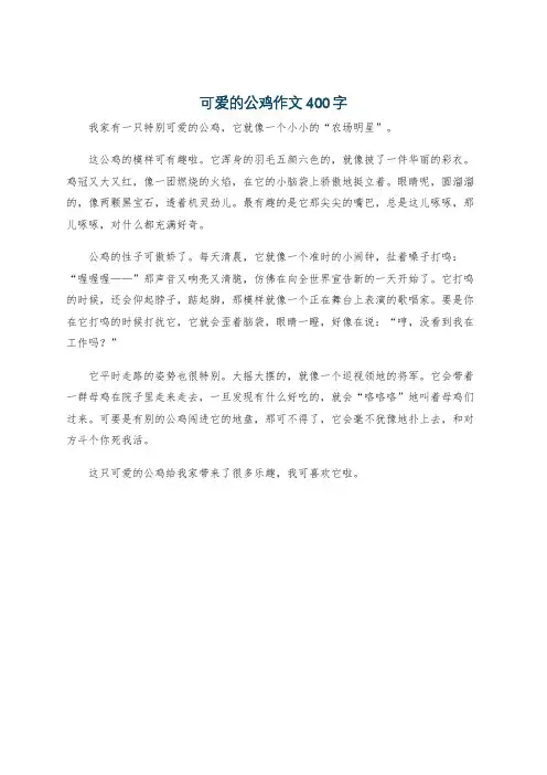 可爱的公鸡作文400字