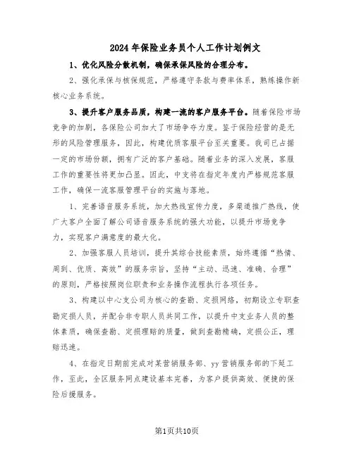 2024年保险业务员个人工作计划例文（五篇）