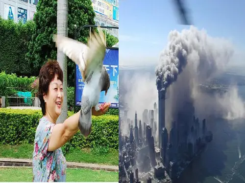 大地上的事情课件