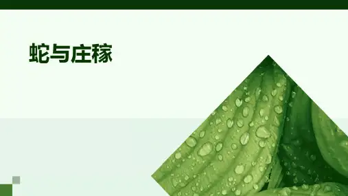 蛇与庄稼ppt课件