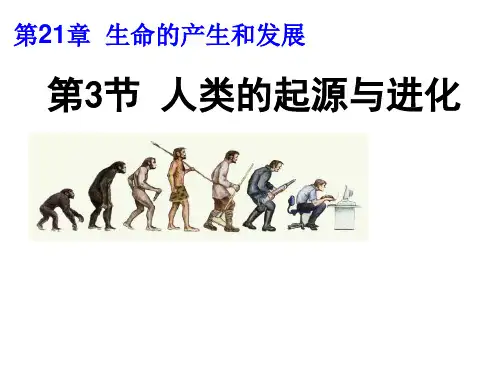 北师大版生物八年级下册2人类的起源与进化课件