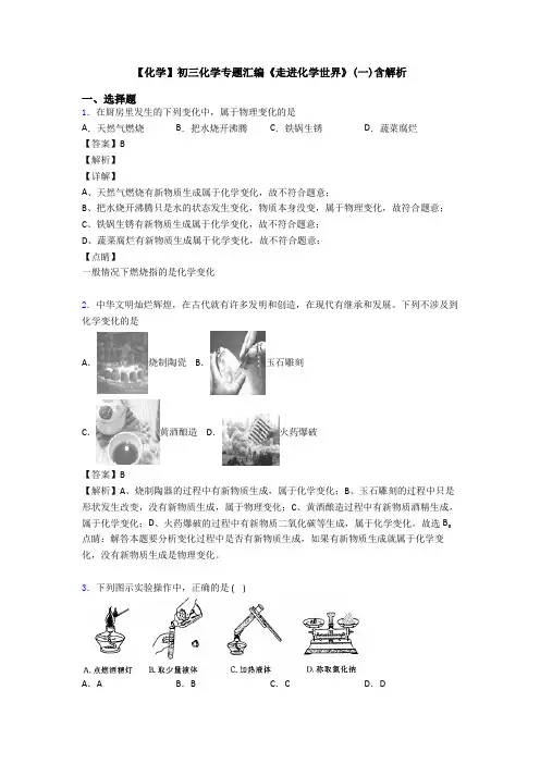 【化学】初三化学专题汇编《走进化学世界》(一)含解析