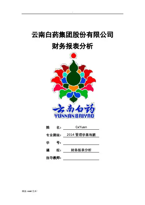 云南白药集团年财务报告分析