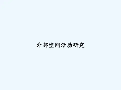 外部空间活动研究 PPT