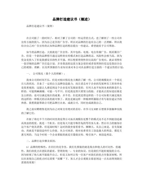 品牌打造建议书(概述)