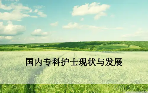 国内专科护士现状与发展ppt课件