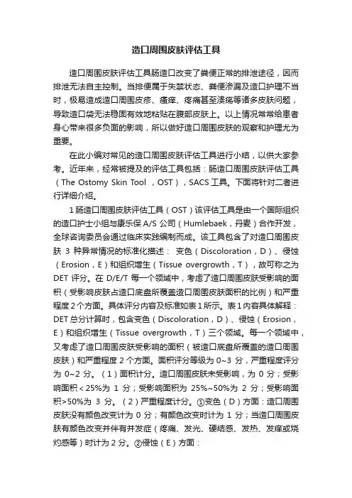 造口周围皮肤评估工具