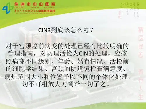 CIN的处理