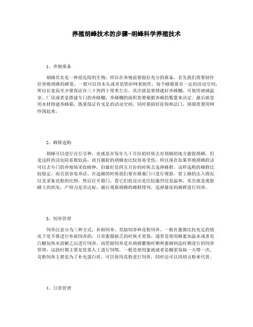养殖胡蜂技术的步骤-胡蜂科学养殖技术