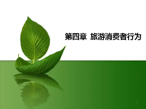 旅游消费者行为PPT课件
