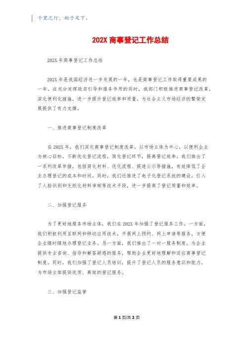 202X商事登记工作总结