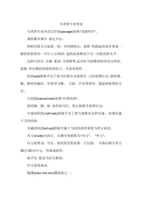 马术的专业用语