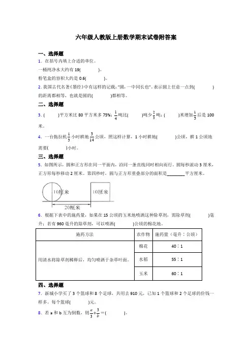 莆田市六年级人教版上册数学专题复习 期末试卷试题