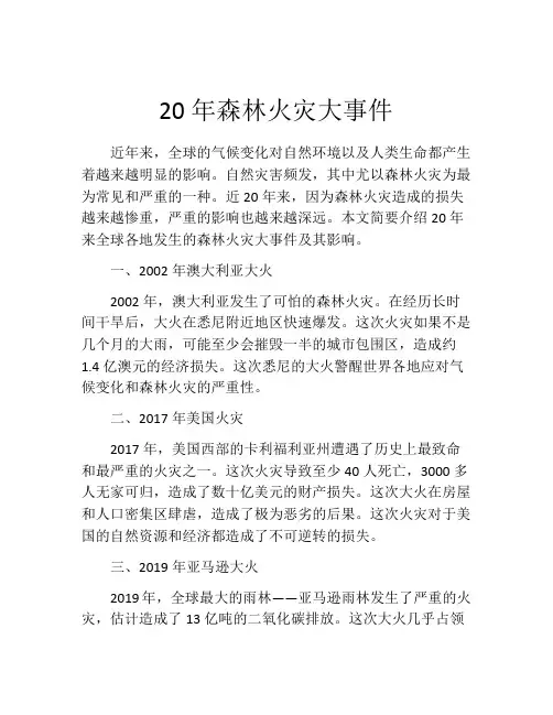 20年森林火灾大事件
