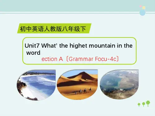 精选 Unit7 SectionAGrammar Focus 4c完整教学课件PPT