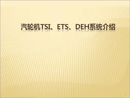 汽轮机TSI、DEH、ETS系统介绍ppt课件