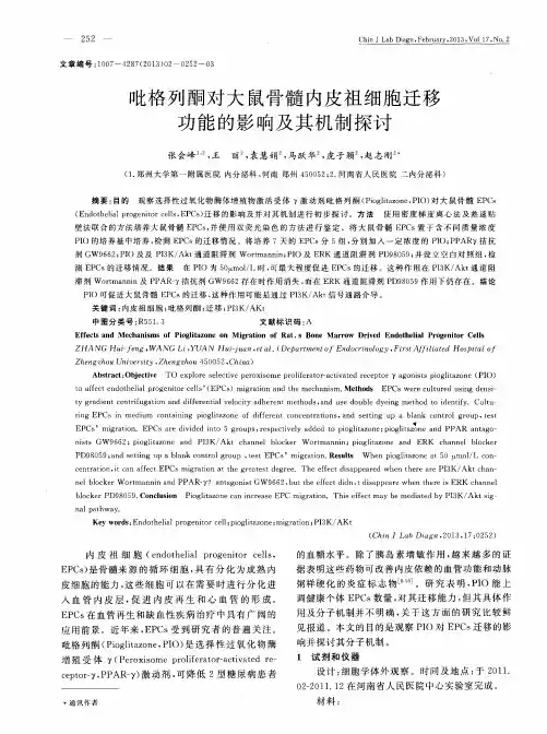 吡格列酮对大鼠骨髓内皮祖细胞迁移功能的影响及其机制探讨