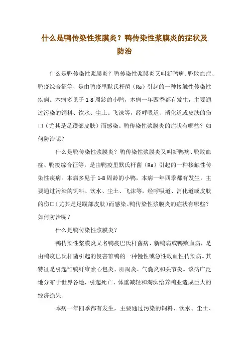 什么是鸭传染性浆膜炎？鸭传染性浆膜炎的症状及防治
