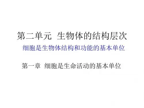 人教版七年级生物上册课件：2.1.1 练习使用显微镜(共39张PPT)[1]