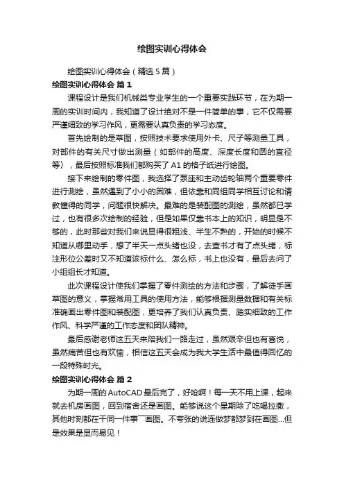 绘图实训心得体会（精选5篇）