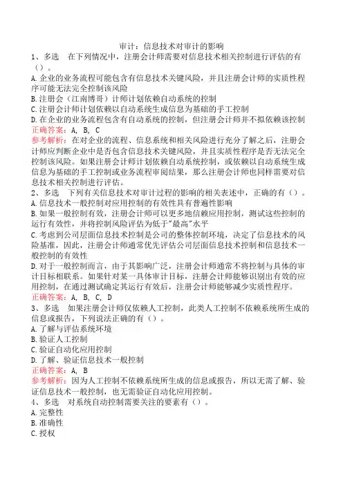 审计：信息技术对审计的影响