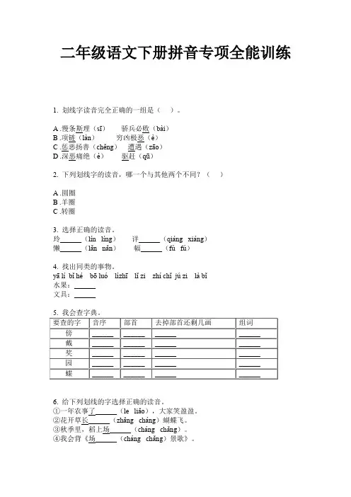 二年级语文下册拼音专项全能训练 2
