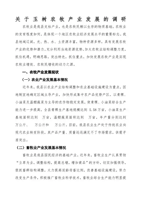 玉树县农牧业产业发展途径