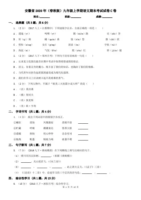 安徽省2020年(春秋版)九年级上学期语文期末考试试卷C卷(新版)