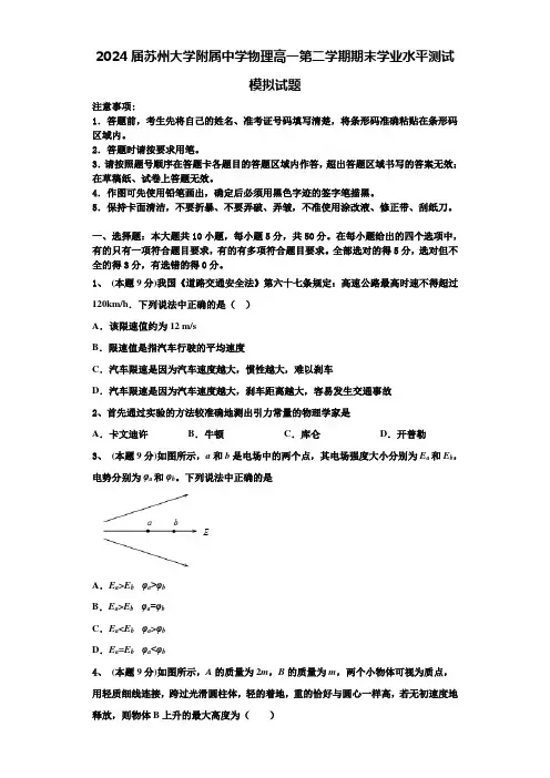 2024届苏州大学附属中学物理高一第二学期期末学业水平测试模拟试题含解析