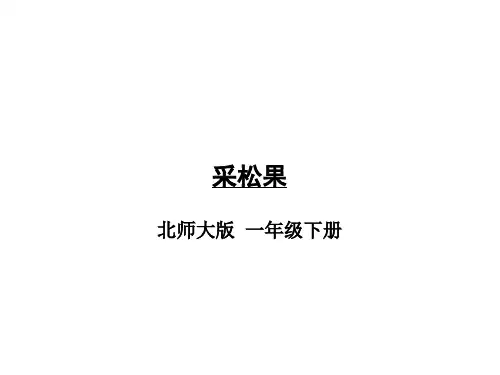 北师大版《采松果》PPT优质课件