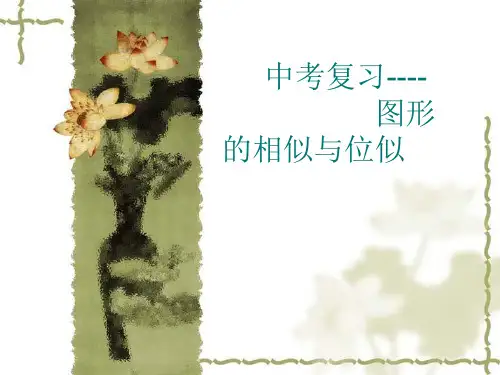 中考数学复习《相似与位似》课件