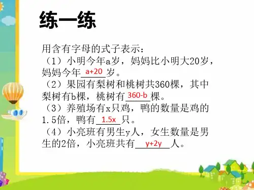 解有两个未知数的方程ppt课件