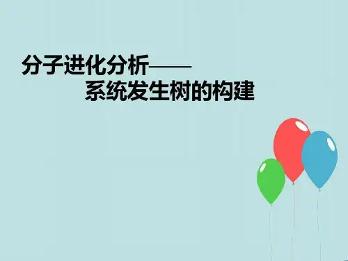 分子进化总结分析—系统发生树的构建要求