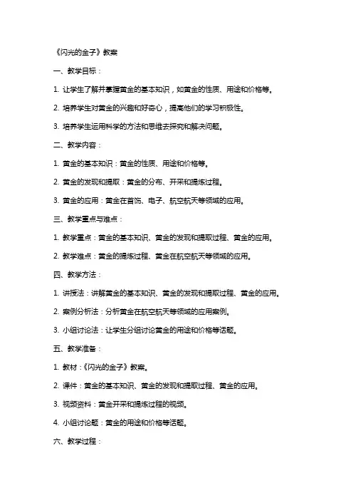 《闪光的金子》教案