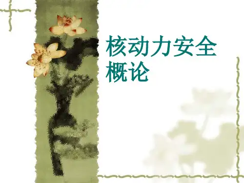 大学精品课件：核安全概论总结