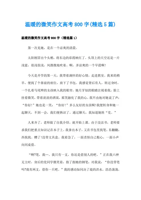 温暖的微笑作文高考800字(精选5篇)