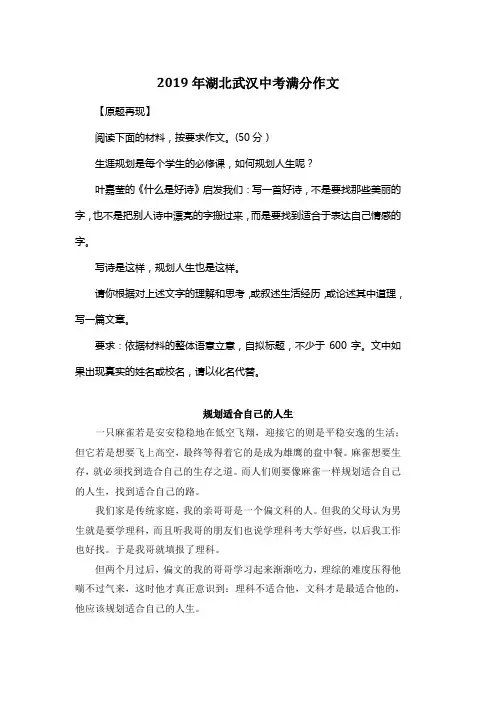 2019年湖北武汉中考满分作文《规划适合自己的人生》