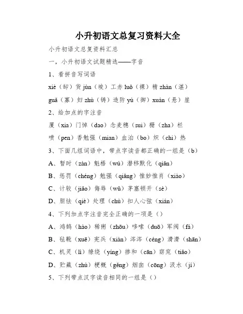 小升初语文总复习资料大全