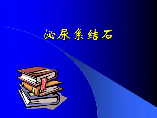 泌尿系结石.ppt