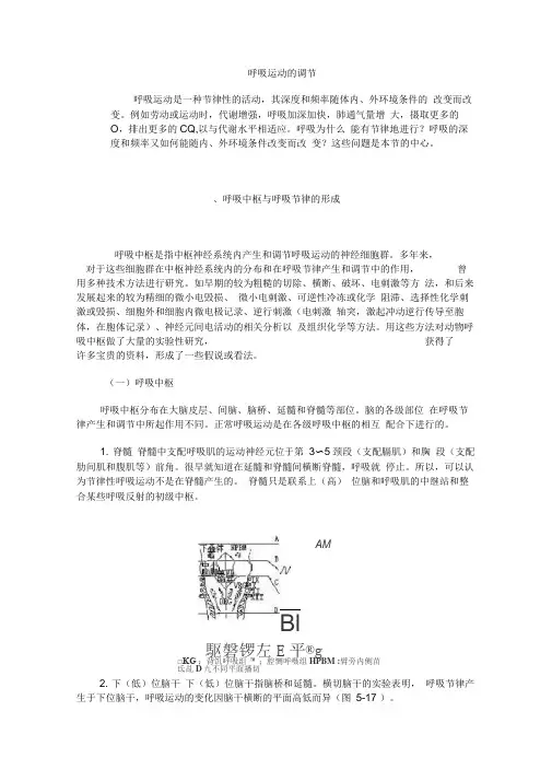 呼吸运动的调节