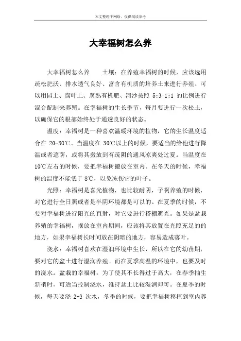 大幸福树怎么养