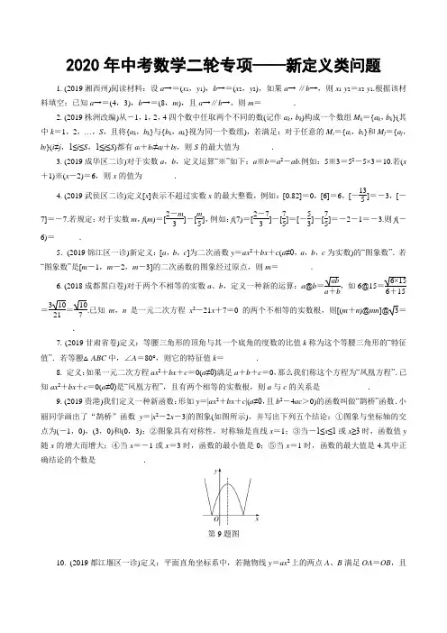 2020年九年级数学中考二轮专项——新定义类问题(含答案)