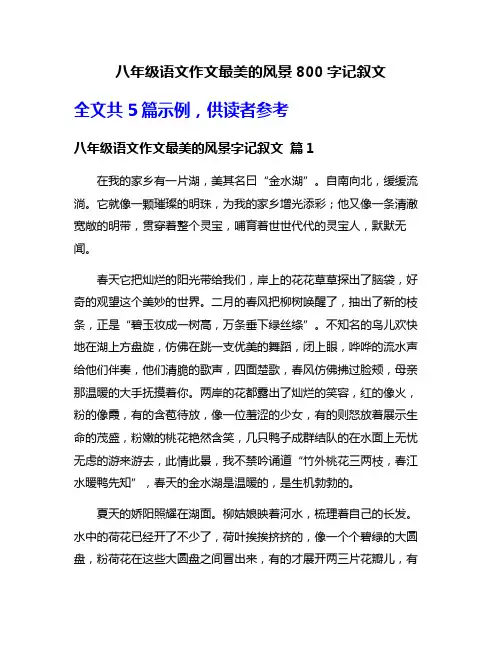 八年级语文作文最美的风景800字记叙文