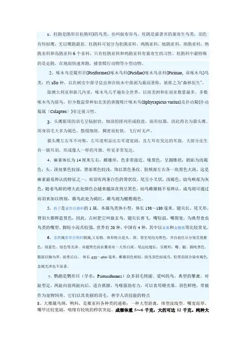 各种鸟类