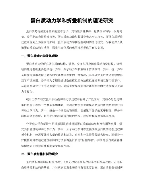 蛋白质动力学和折叠机制的理论研究