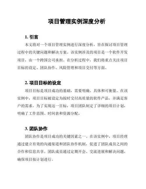 项目管理实例深度分析