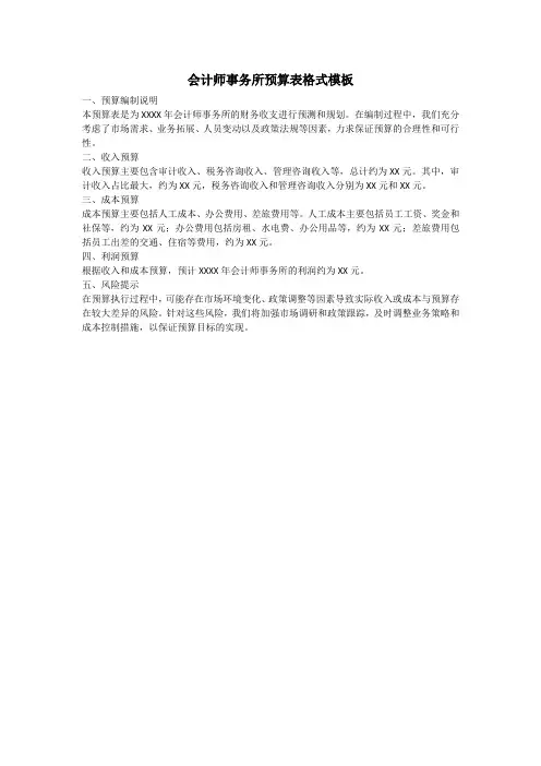 会计师事务所预算表格式模板